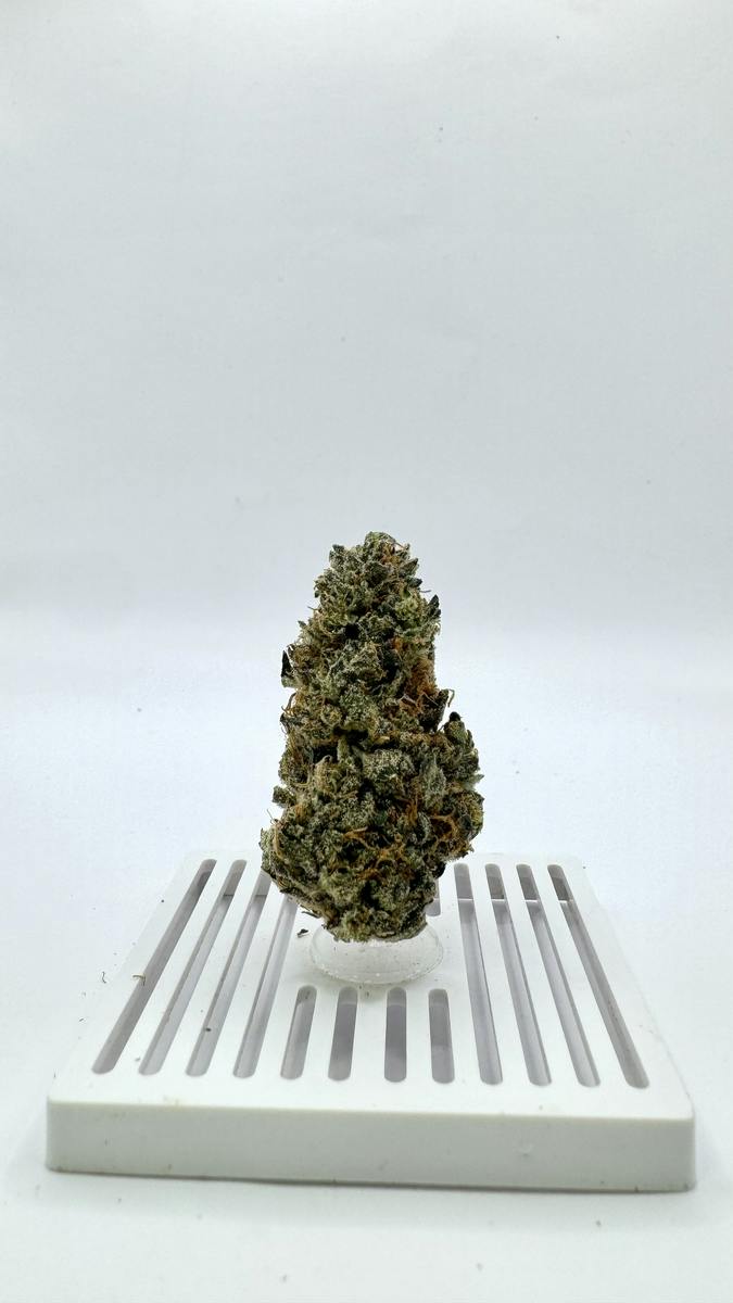 UB-40