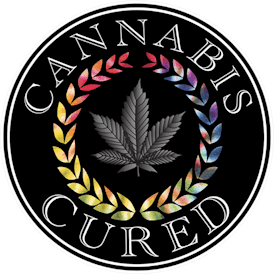 Cannabis cured Fog Cutters - 0.5g (2 pack) Distillate Infused Prerolls - - Purple Grapewreck