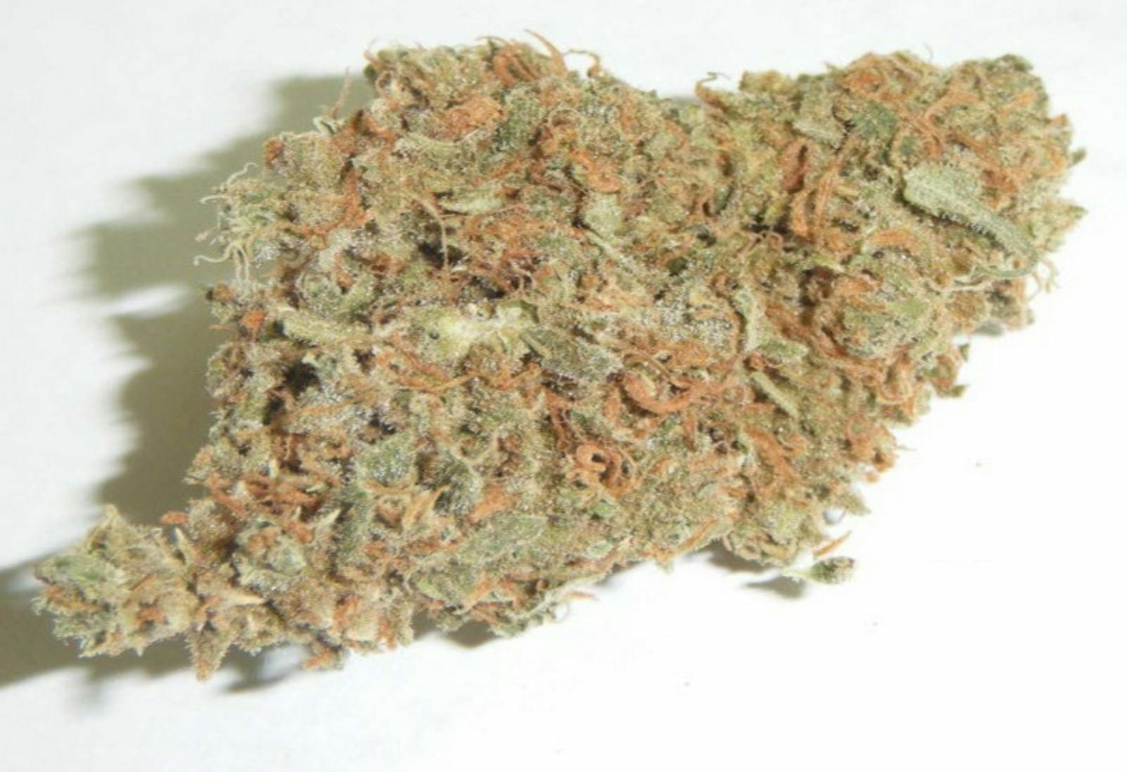 White Widow -NSM *TAX INCLUDED* at Spring River Dispensary