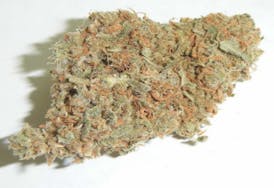 White Widow -NSM *TAX INCLUDED*