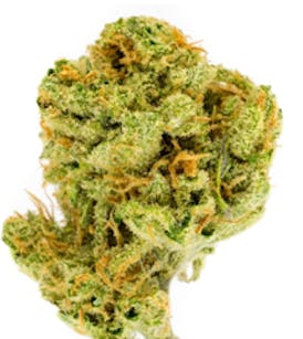 Super Lemon Haze -NSM *TAX INCLUDED*