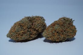 Skunk Shocker 3.5g -NSM *TAX INCLUDED*
