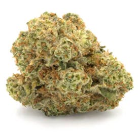 Queen Mother Goji 3.5g- BOLD *TAX INCLUDED*