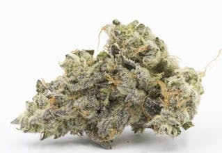 Ecto Cooler 3.5g -BOLD *TAX INCLUDED*