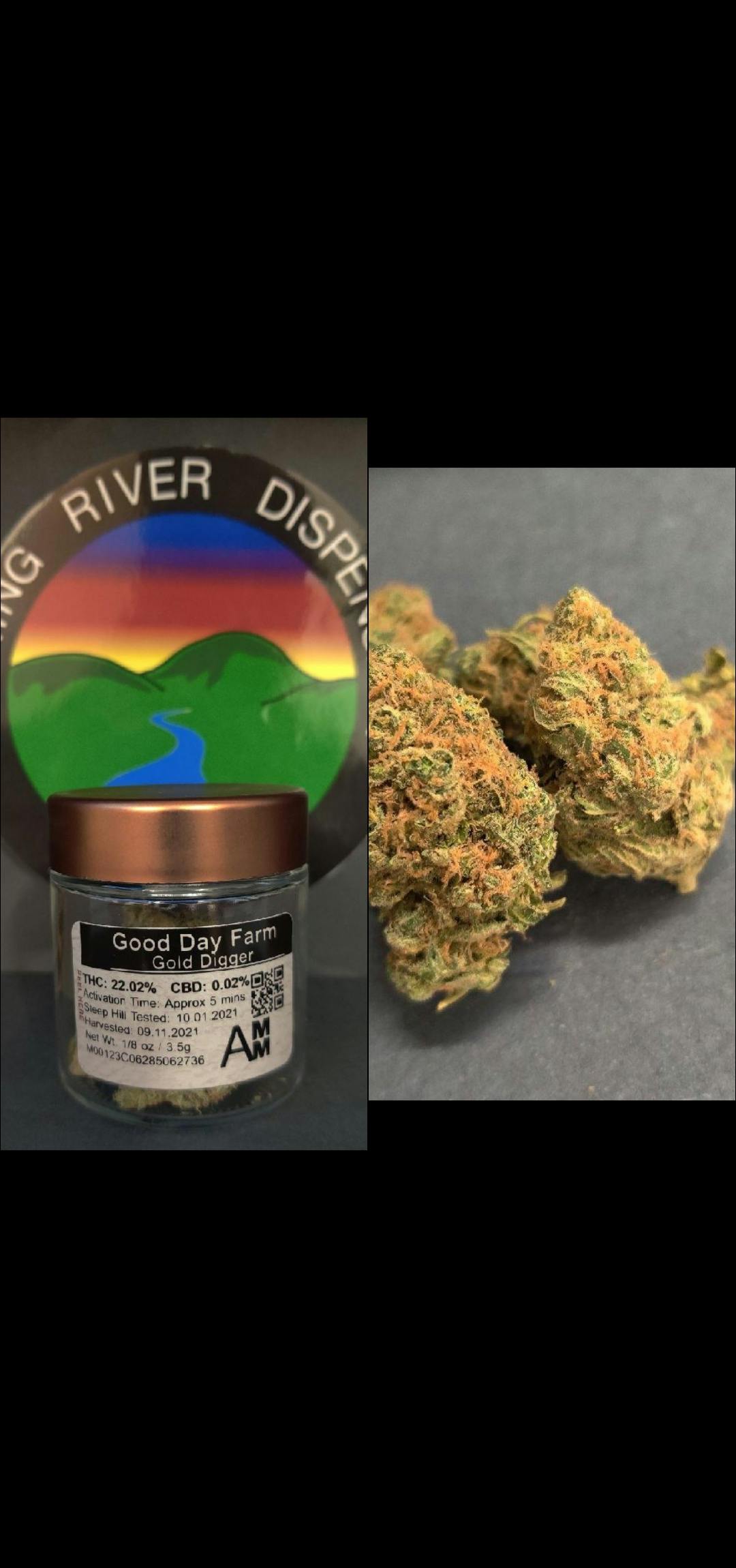 14g Gold Digger POP -GDF *TAX INCLUDED*