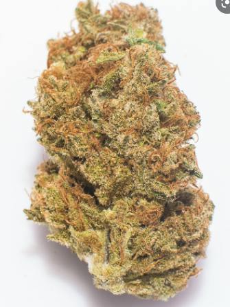 MTF - NSM *TAX INCLUDED*