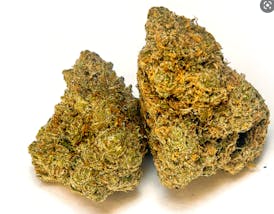 Mountain Goat- NSM *TAX INCLUDED*