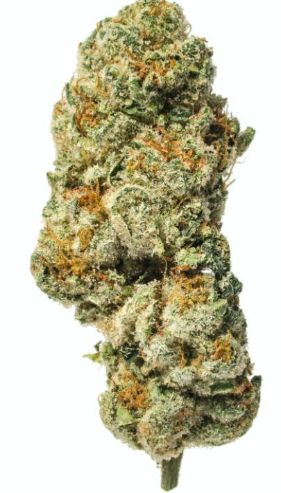 Prepack Triangle Kush S1- OSAGE *TAX INCLUDED*
