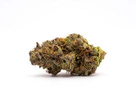Member OG- GDF *TAX INCLUDED*