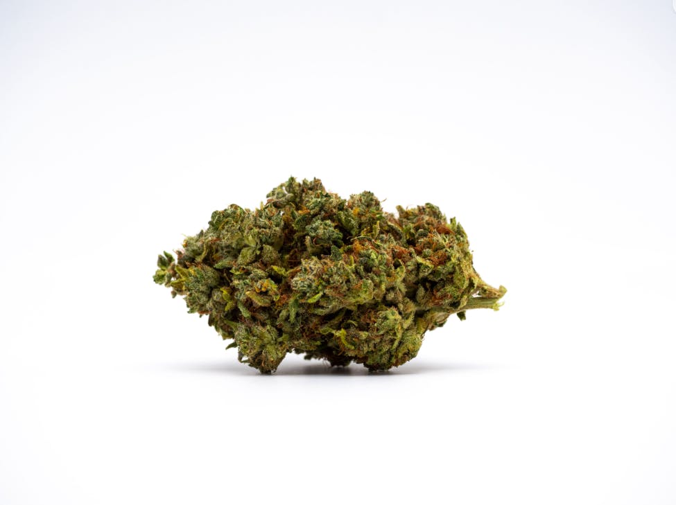 GDF: Popcorn Flower | Tri Cookies | 14g by Good Day Farm