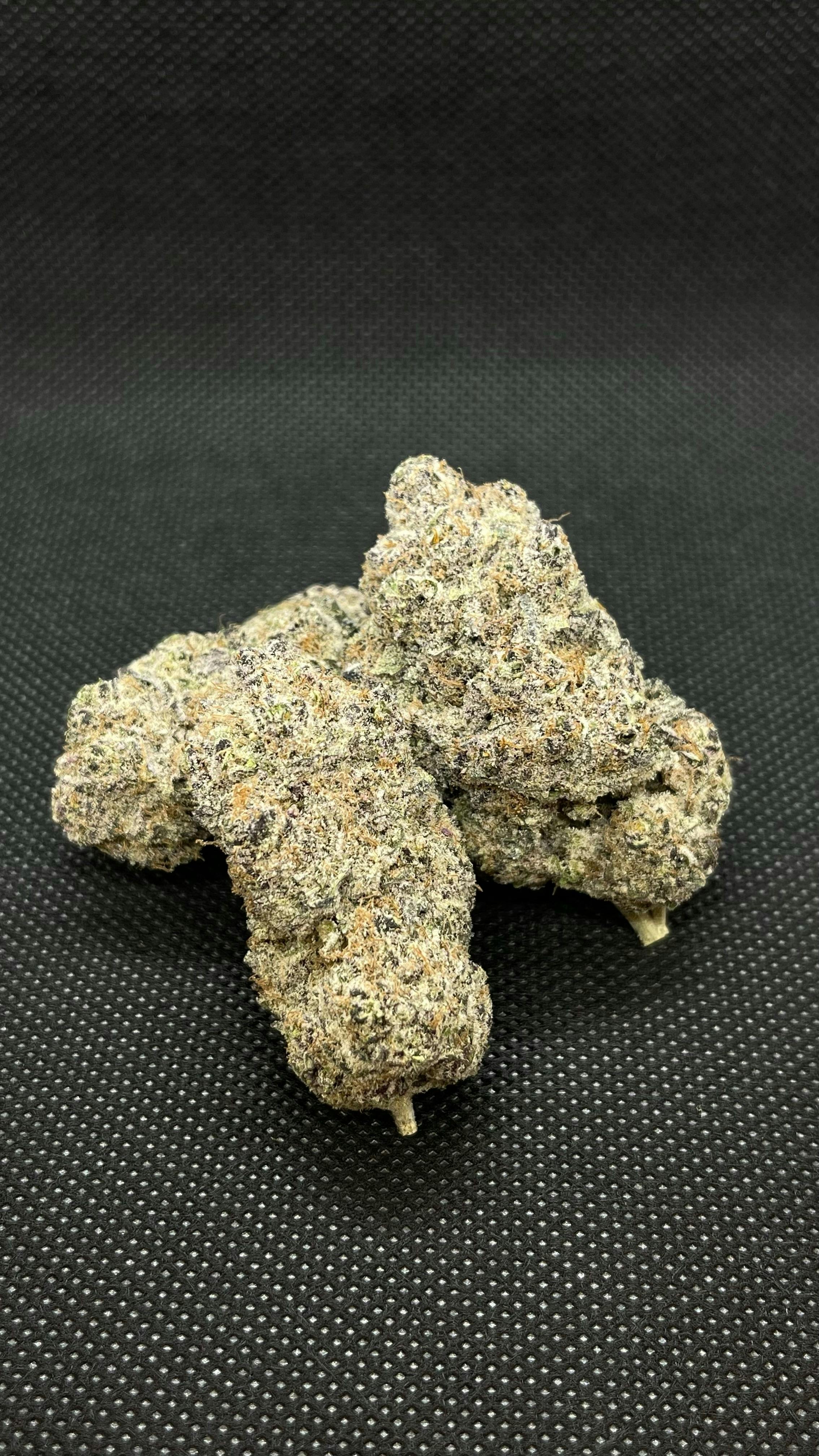 Pushin P -SRD *TAX INCLUDED*