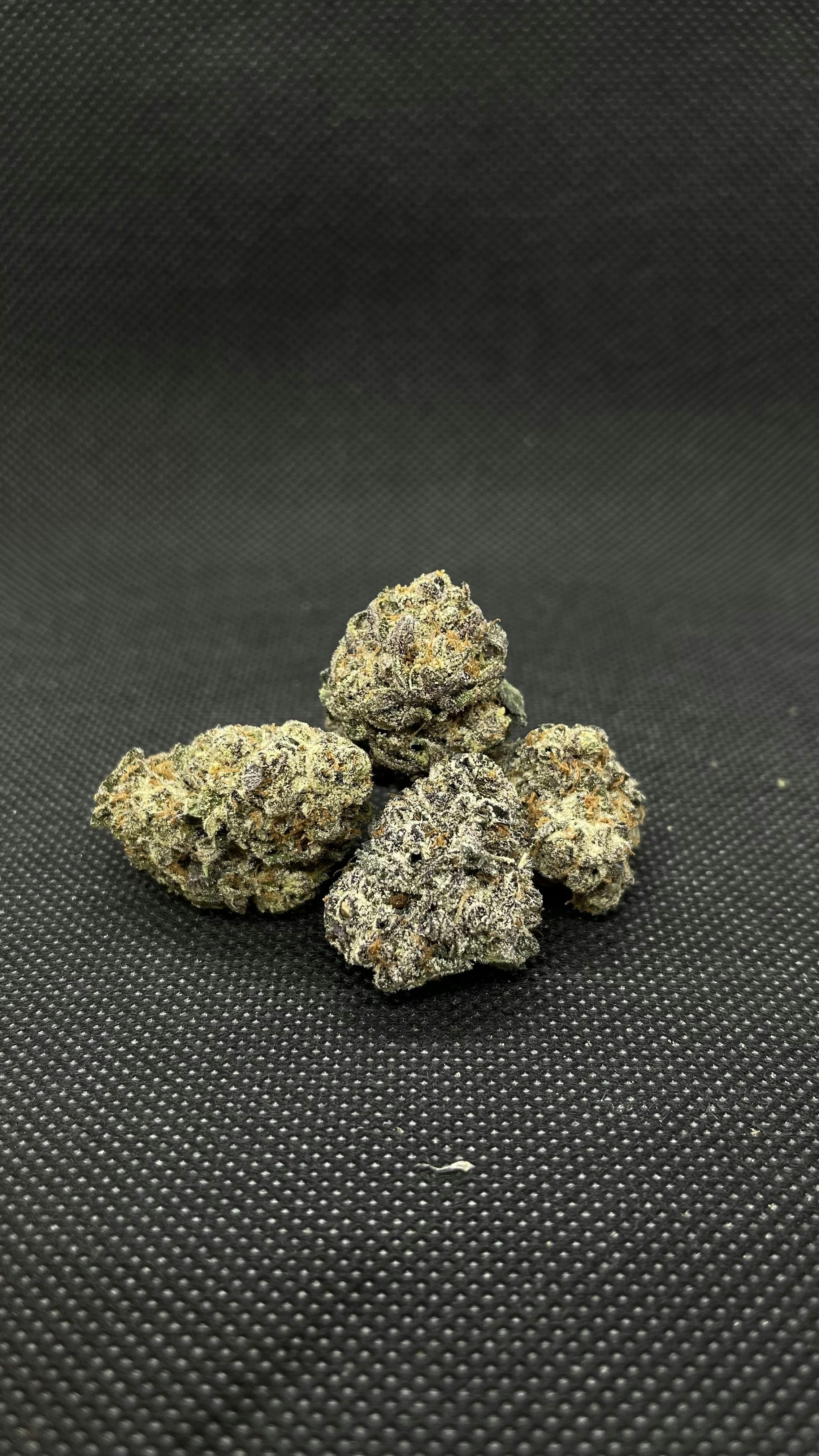 Bitties - SRD *TAX INCLUDED*