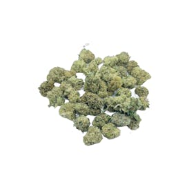 Future small buds 💨💨💨