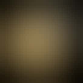 🌜Moon Rock 🪨Jungle Cat✖️Apex Budder