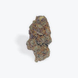 Jack Herer