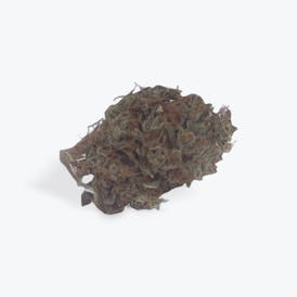 Bruce Banner Blazing Dealz 🔥💨🤯💚