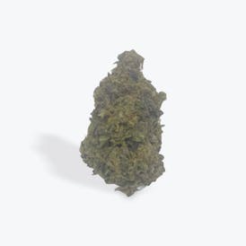 Girl Scout Cookies 🍪💨😶‍🌫️