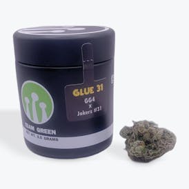 Glue 31