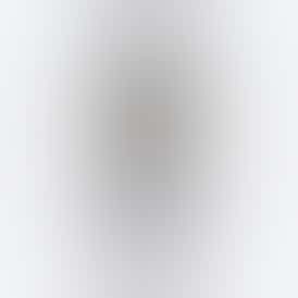 PB & J🥜 Disposable Live Resin Vape Pen 1G