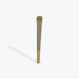 Infused Pre Roll Flower Girl Scout Cookies with Motor Breath Sugar 1.5G