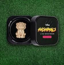 Hella Jelly Hashimals Lion