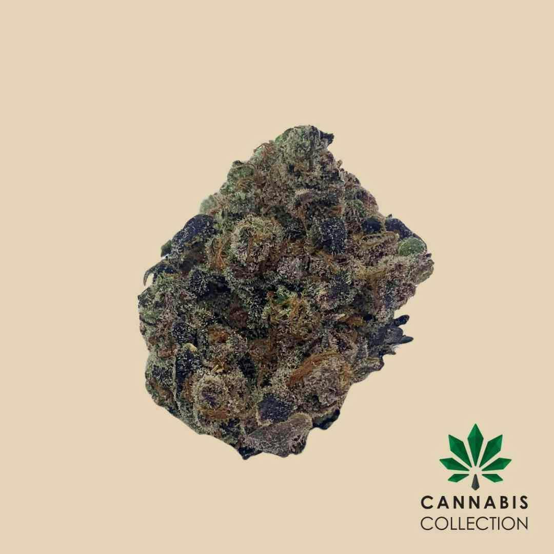 East Coast Cookie Wreck Flower