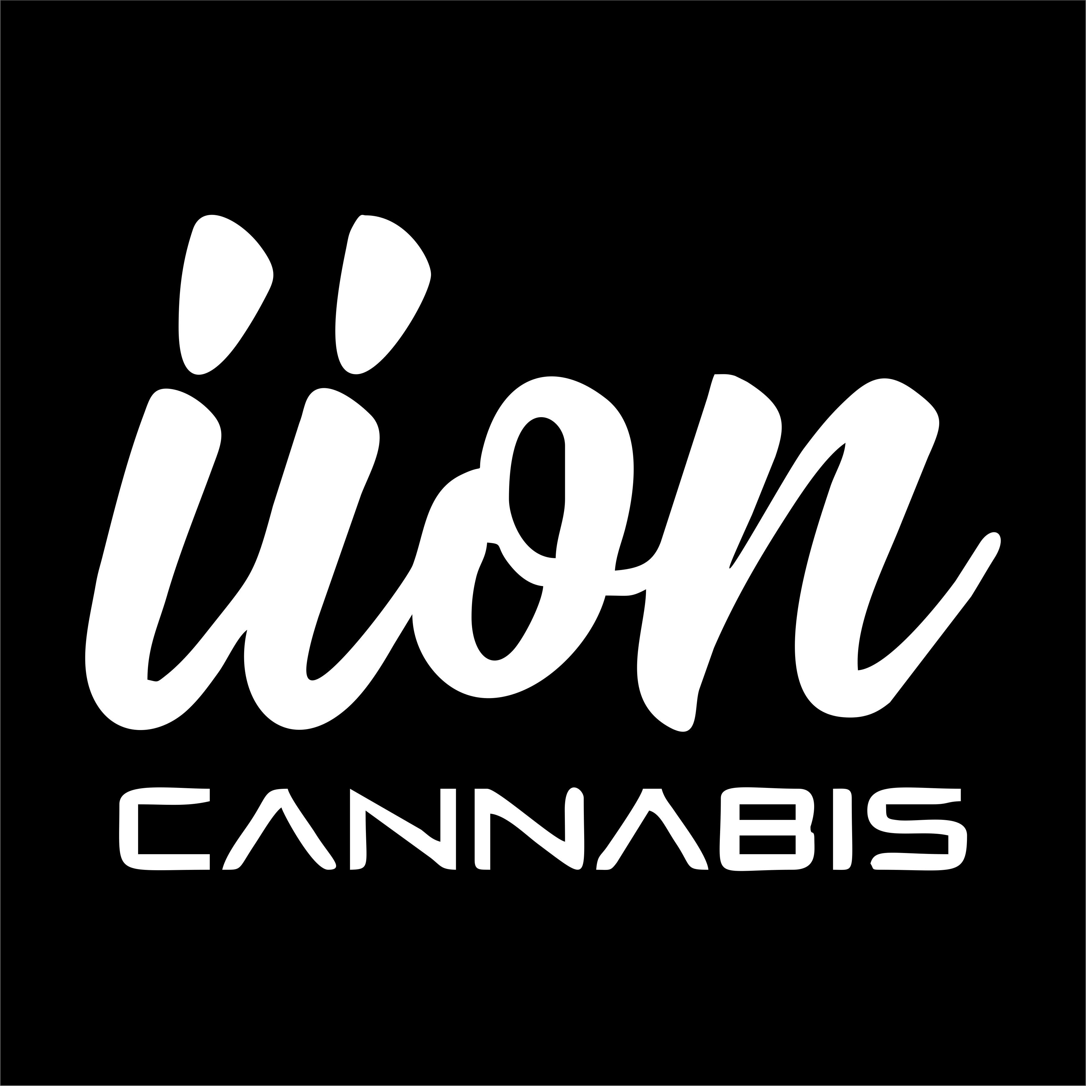 Premium Shelf Bud | Sunkor