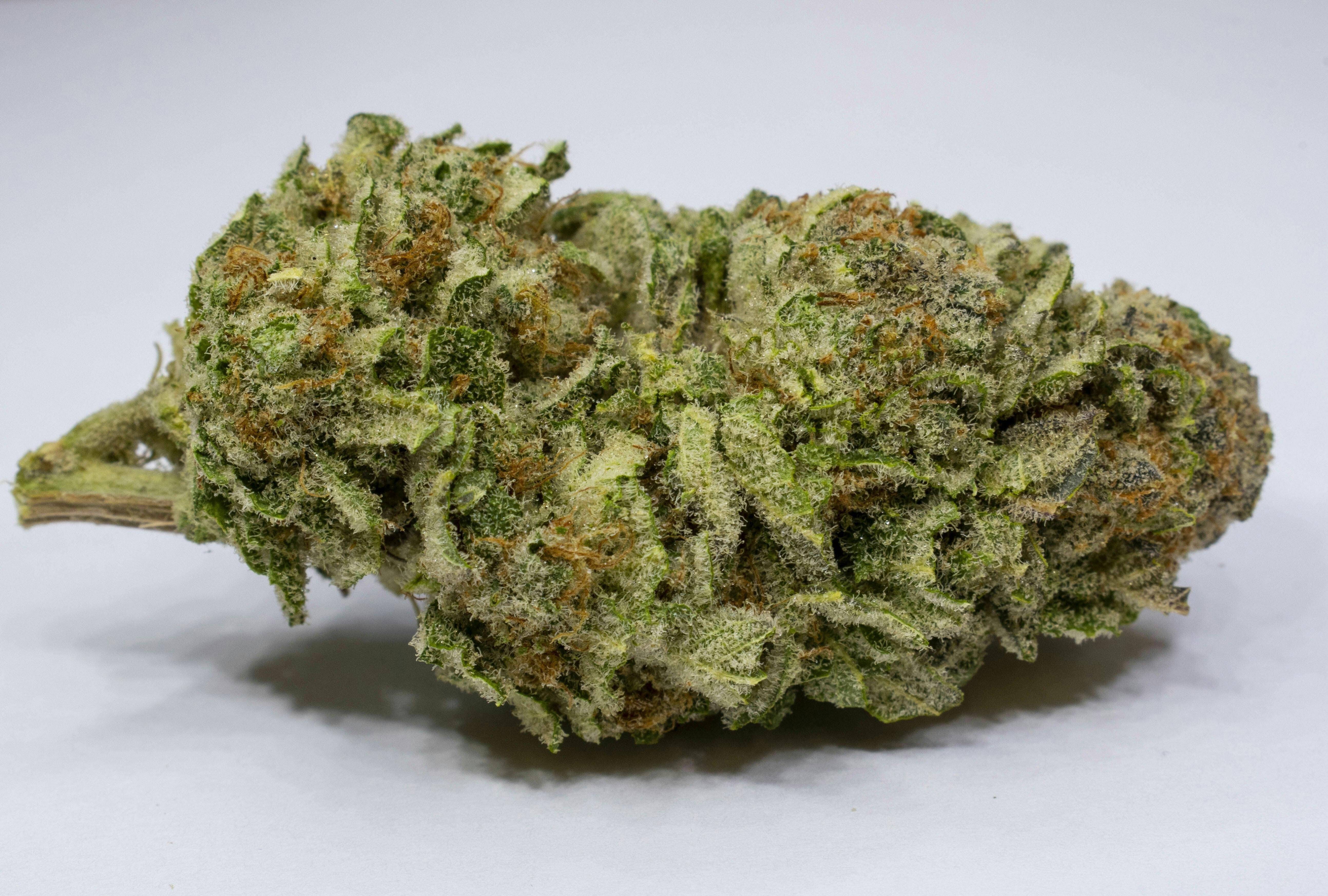 Top Shelf Bud | Taffie