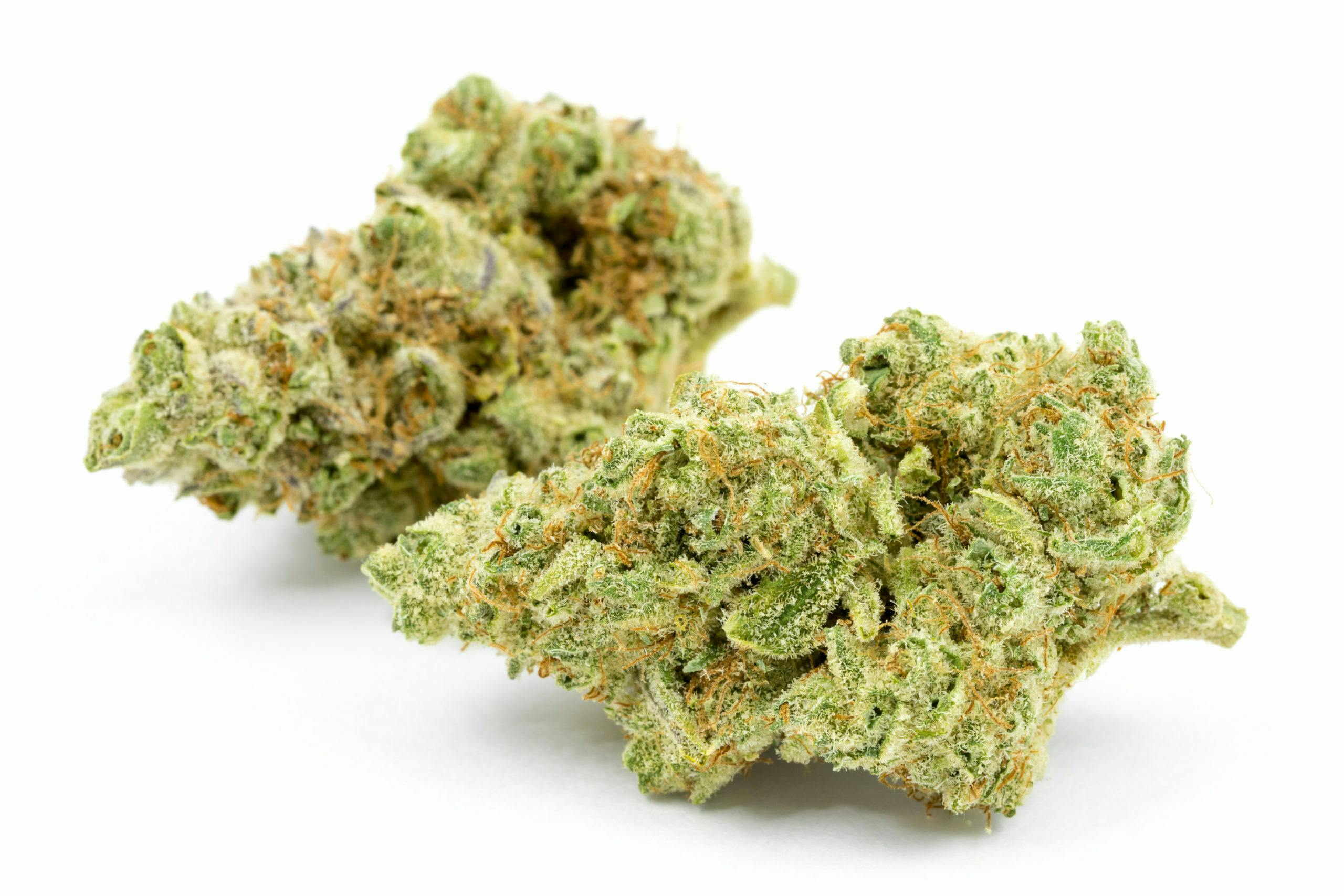 Top Shelf Bud | Jungle Cake