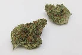 Top Shelf Bud | Citral Glue
