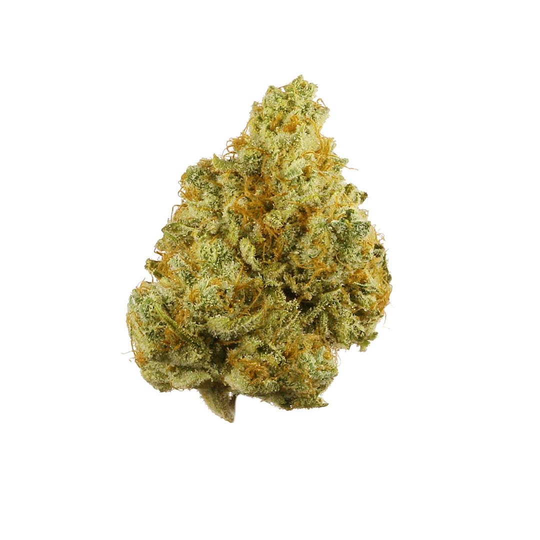 Top Shelf Bud | Sour Tangie