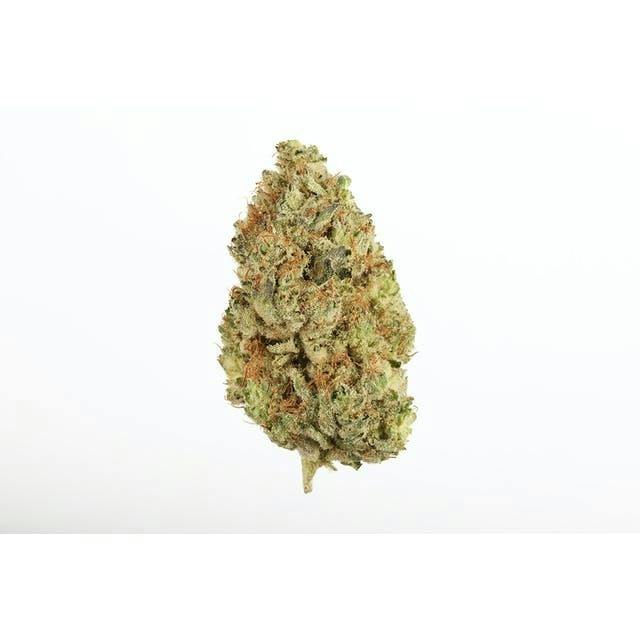 Premium Shelf Bud | Garlic Road