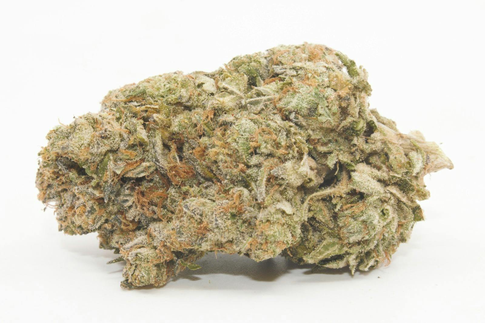 Top Shelf Bud | Gas Tanker