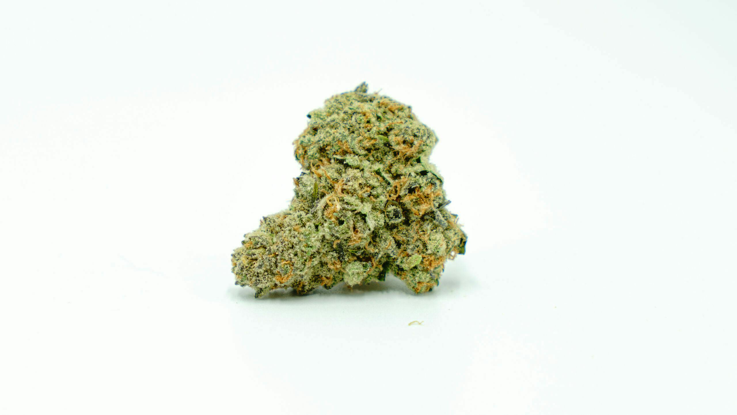 Veritas Bud | Purple Papaya Punch