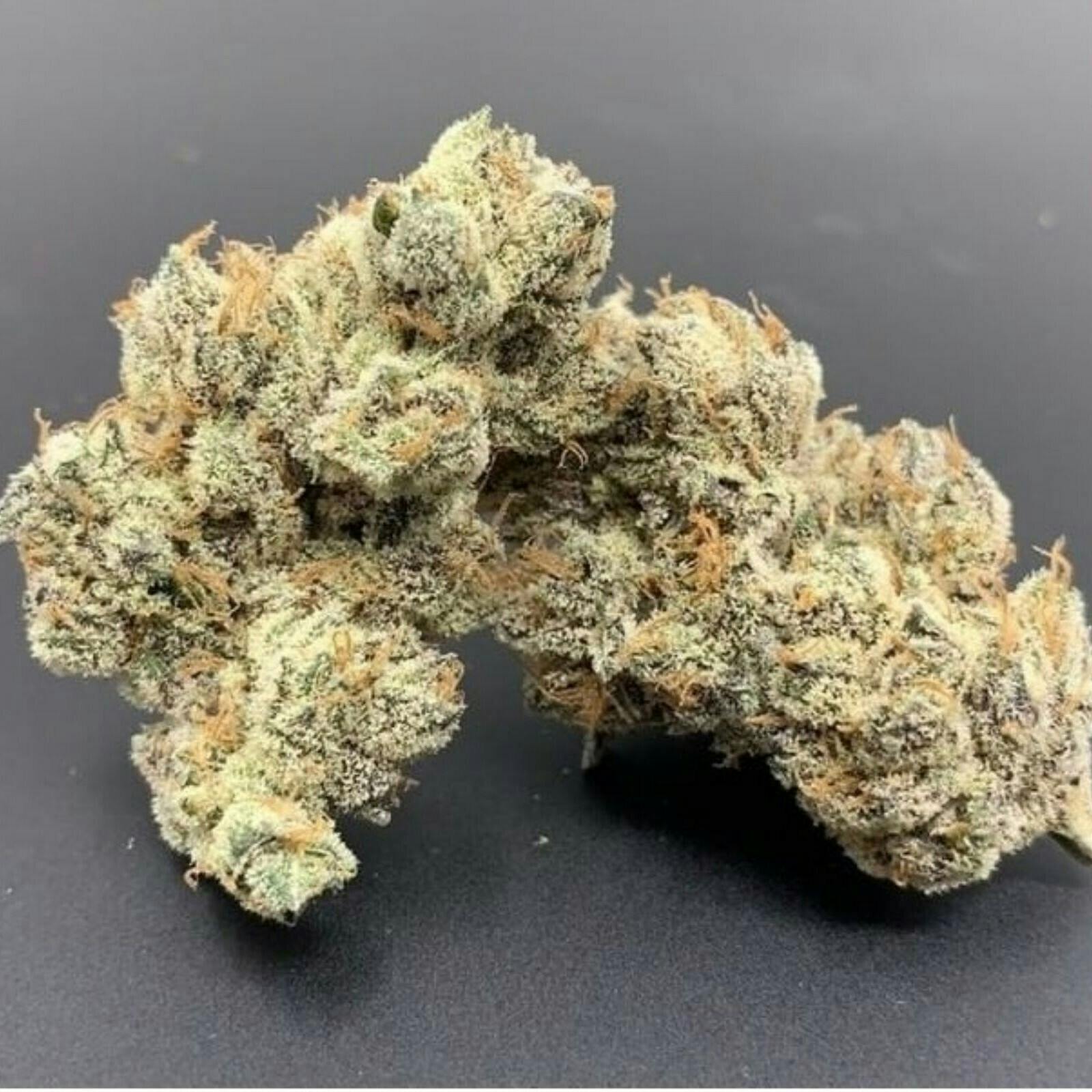 Green Shelf | Hiatus | Vanilla Gorilla