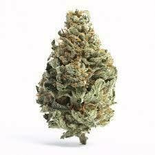 Green Shelf | C1B True Organics | Chocolope