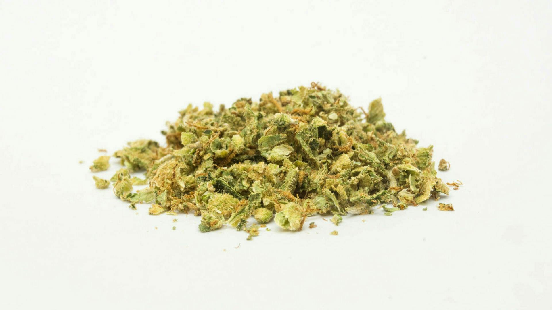 SHAKE | Indica