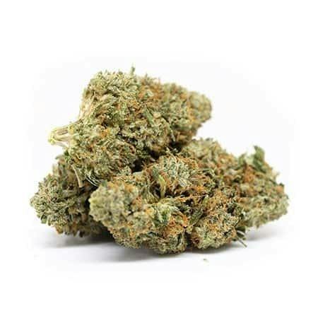 Green Shelf | Glas Farms | Chem Brulee