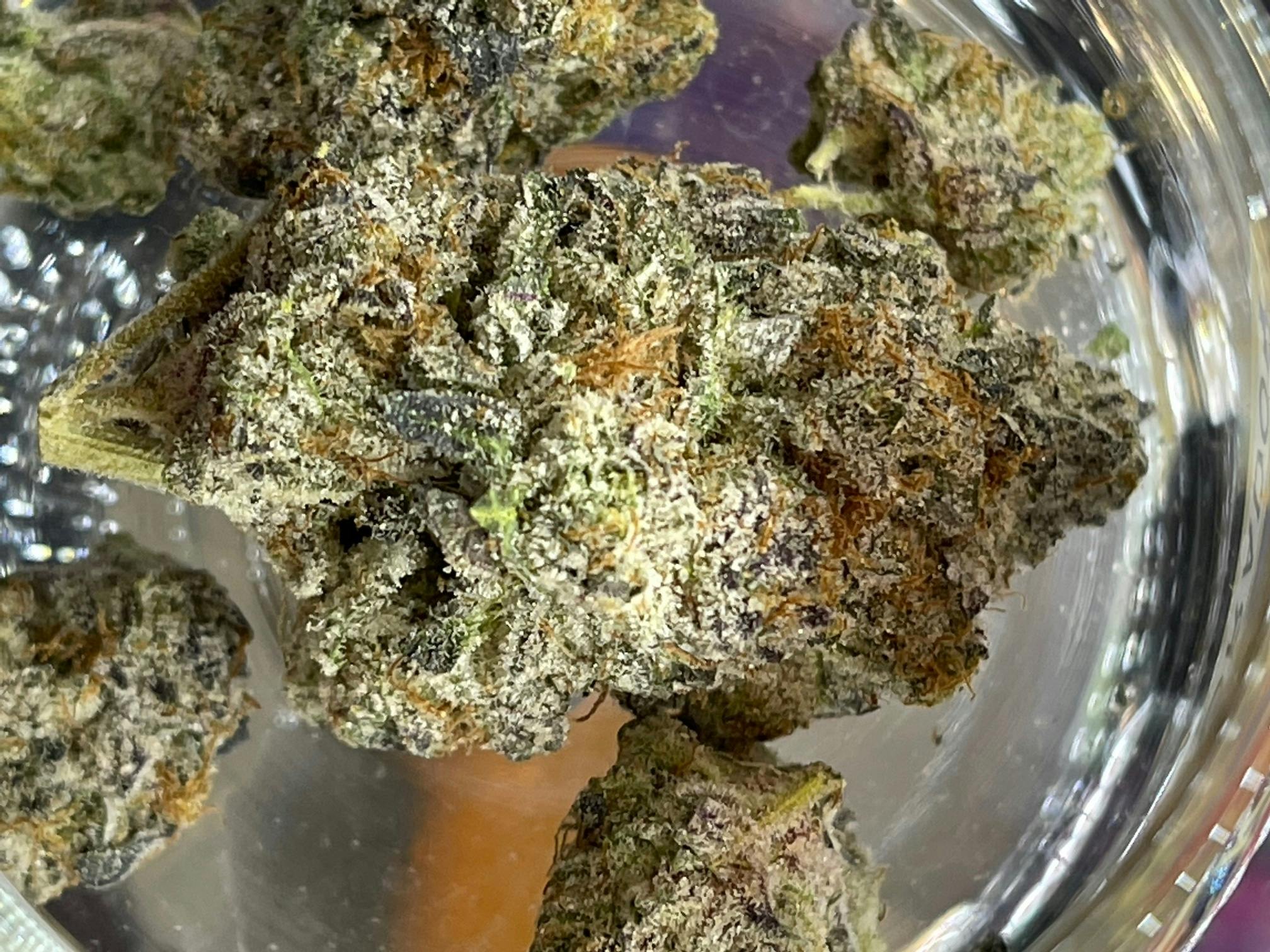 Snaxland | Rainbow Flame