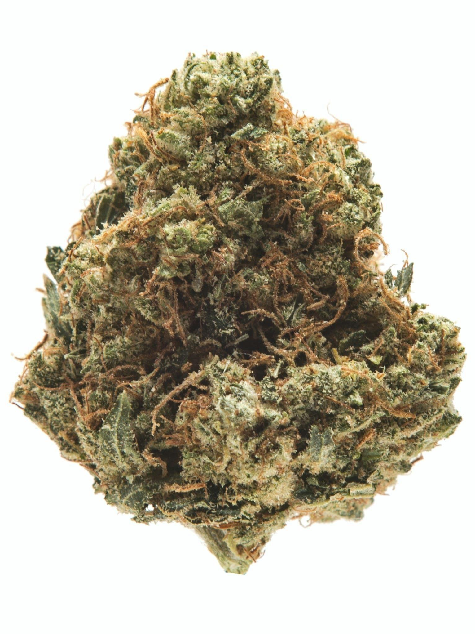 Silver Shelf | Silver Lake | Jet Fuel OG