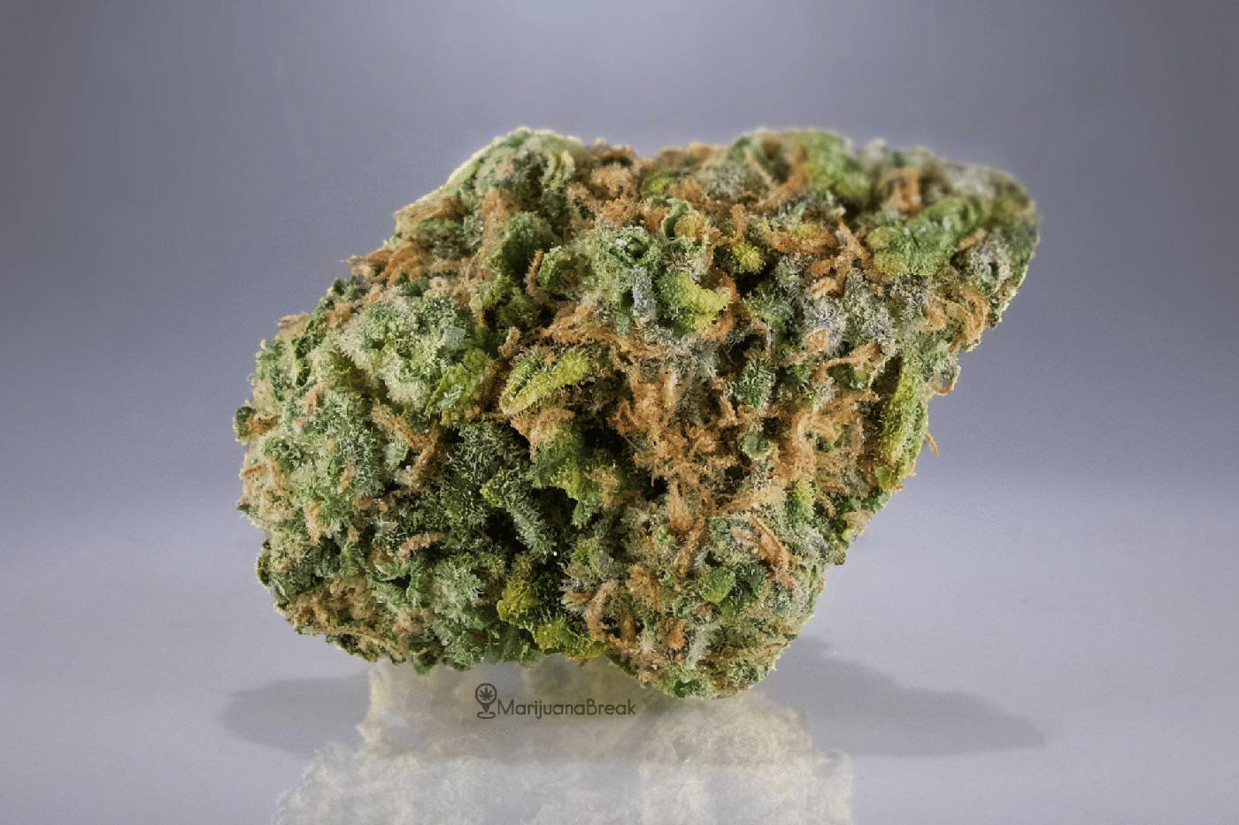 Green Shelf | Category 1 Botanicals | White Widow
