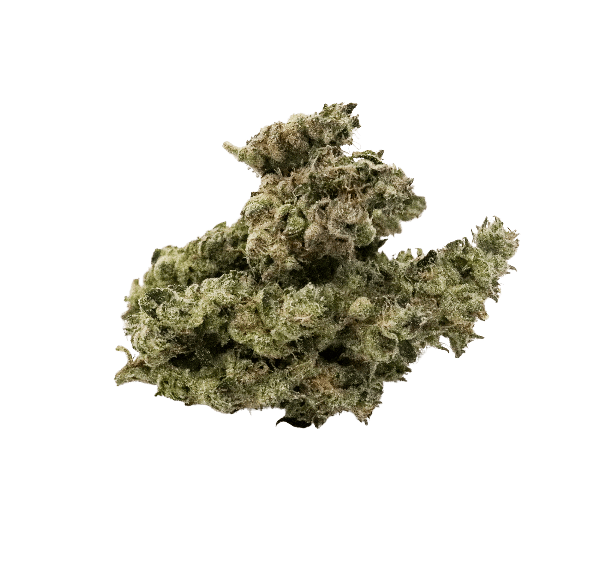 Blue Cheese by Sanctuary Medicinals