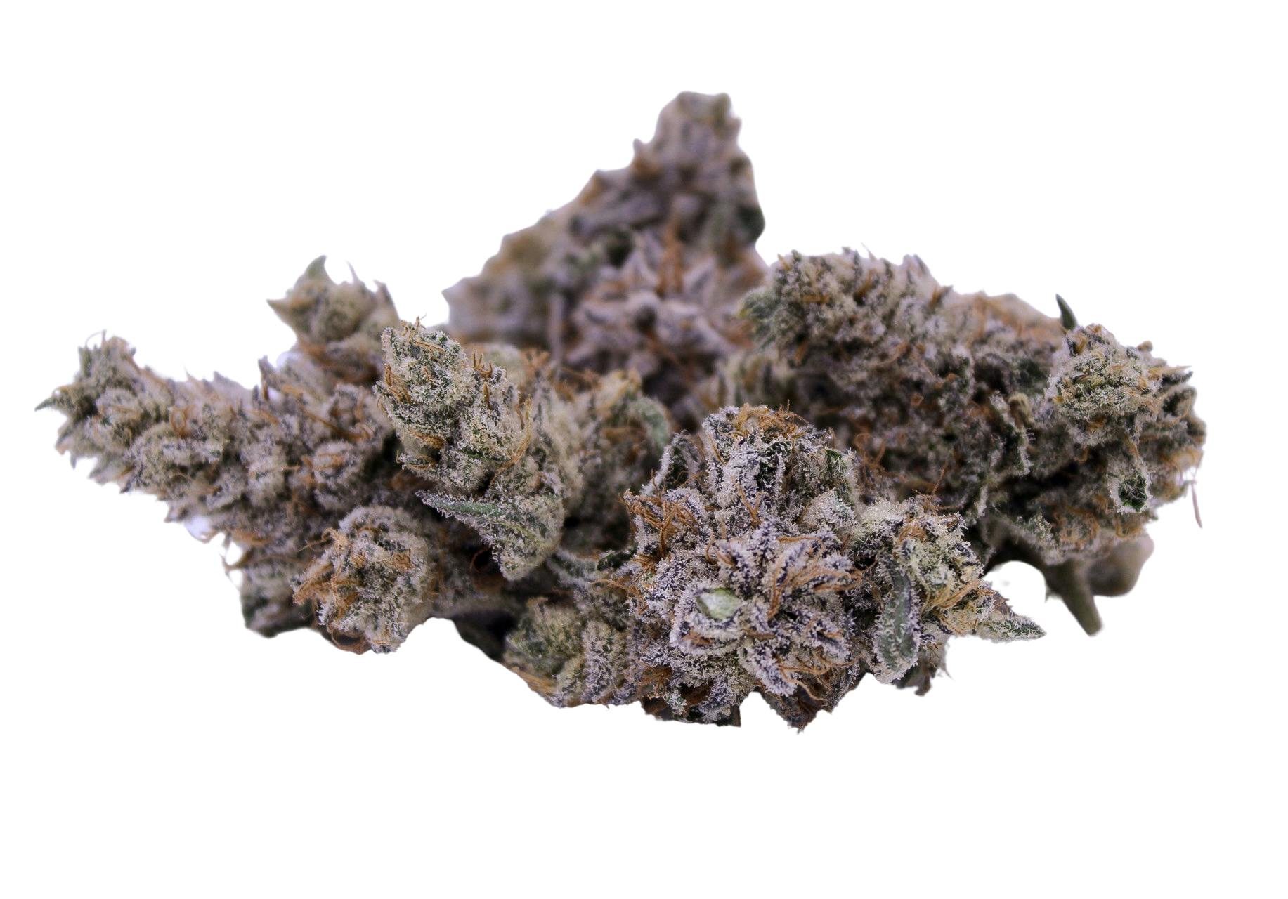 Lost in Space 3.5g Small Bud