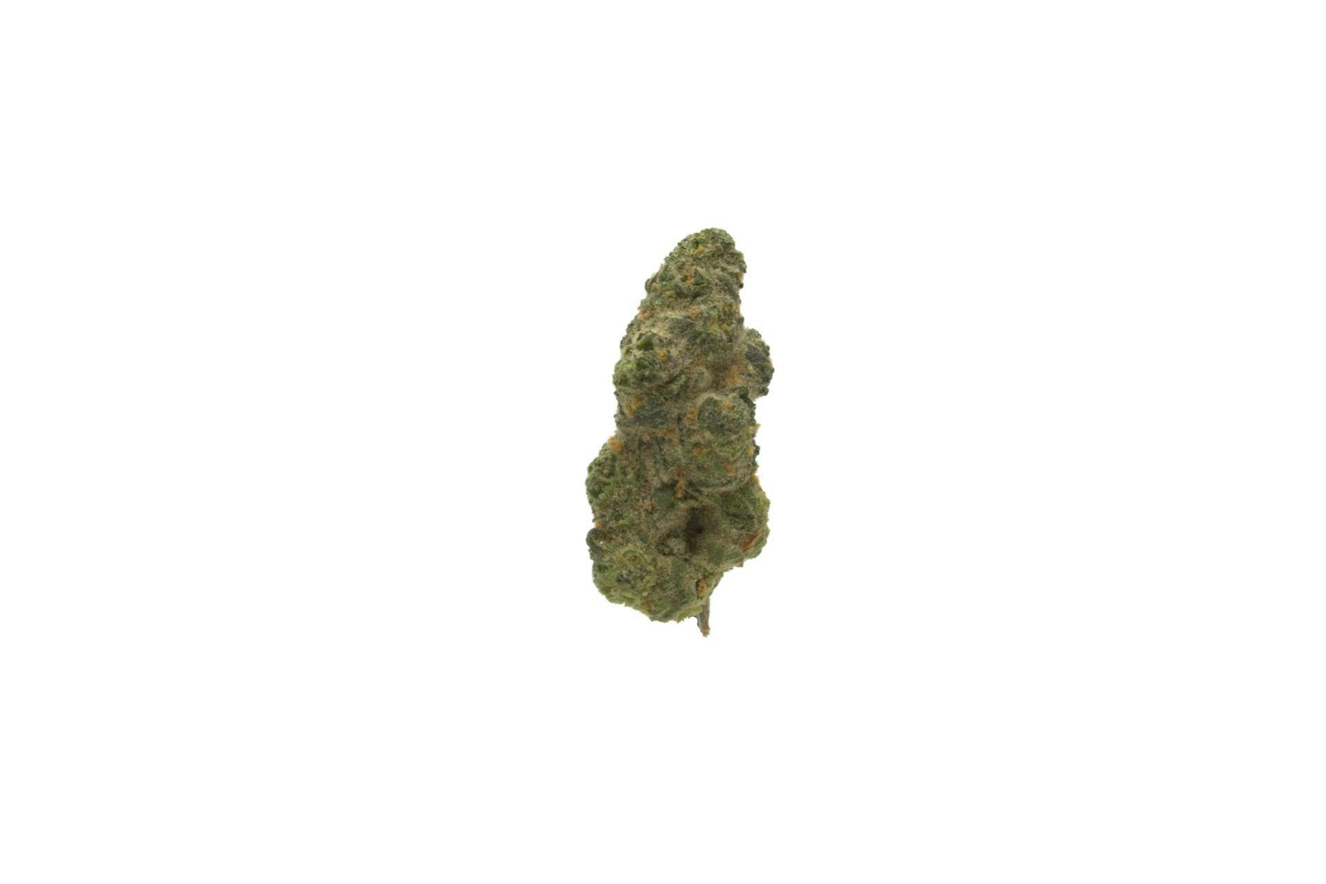Witch Doctor 3.5g Small Bud
