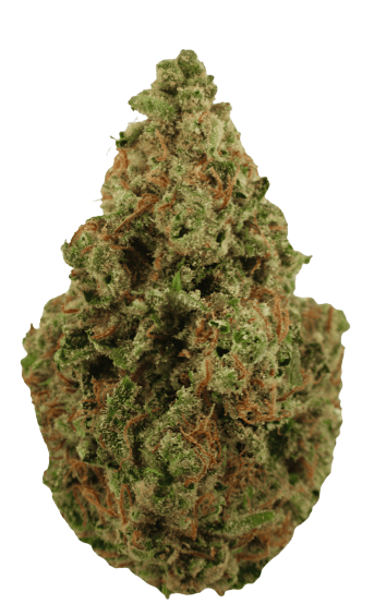 Beach Budz 3.5g