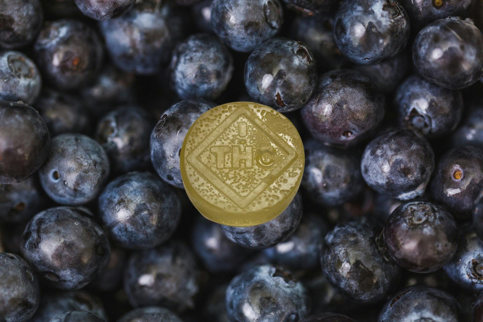 Full Spectrum Blueberry Chews 10pk