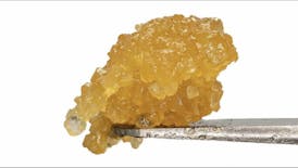 *NEW 1/2OZ DROP* CHILI DAWGZ Live Resin By OASIS REFINERY **FIRE**