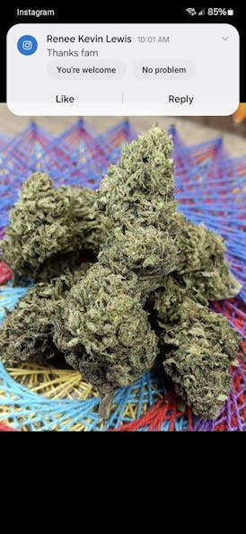 *1/2OZ-1OZ SALE* DEEBO SKUNK HAZE #5 *Exclusive Sun Grown Drop* By 2 FAT CATS ORGANICS