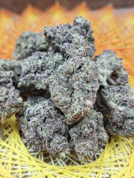 *1/2OZ SALE* GYPSY ROAD * A True Maine Classic* Bred By THE HONEY STICKS