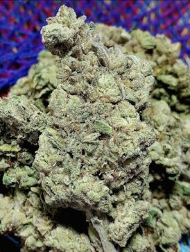 **1/2OZ SALE** BLUE TAFFY Bred And Grown By SOW LOW FARMS